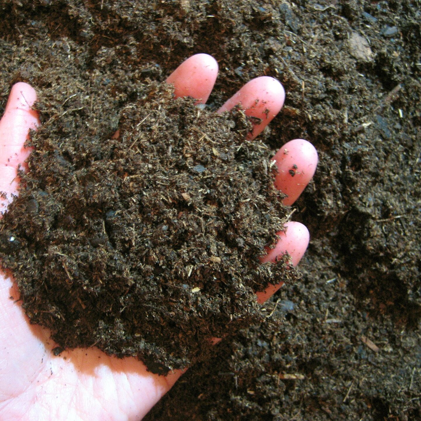 digging-in-the-dirt