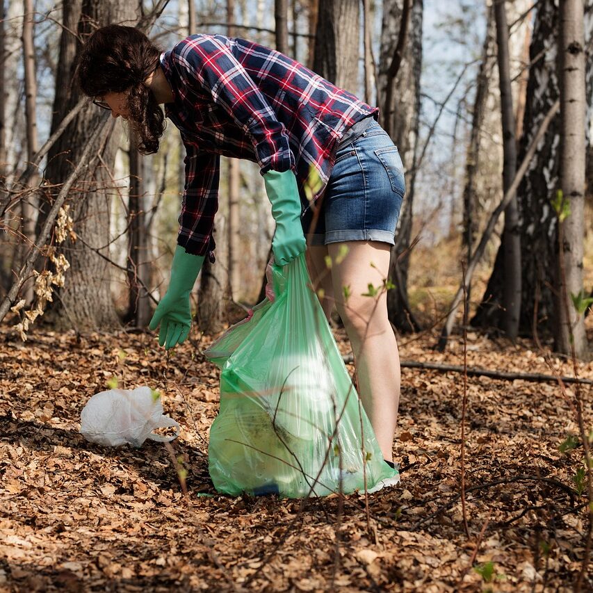 nature garbage